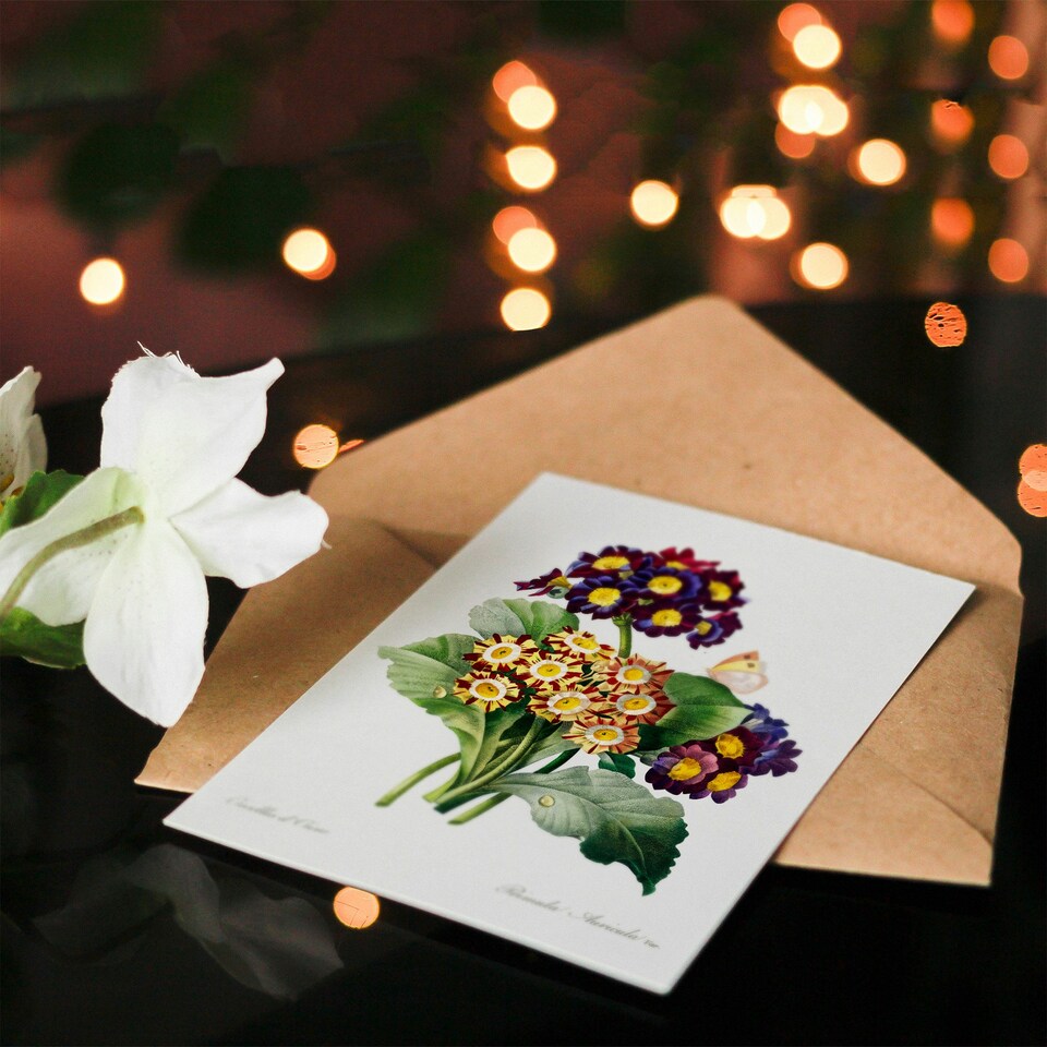 image 1 of Pierre-Joseph Redouté Art Card Primrose Flowers Vintage Floral