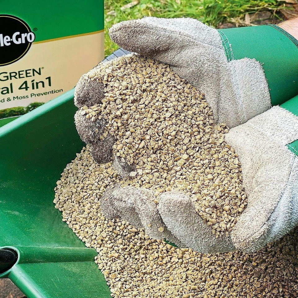 image 1 of Miracle-Gro® Natural Feed And Moss Killer