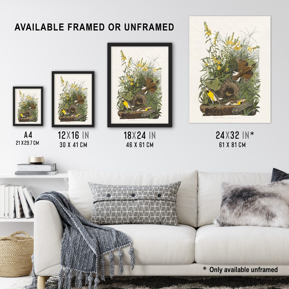 image 1 of Meadowlark Bird False Foxglove Audubon Huge Wall Art Poster Print 24X32"