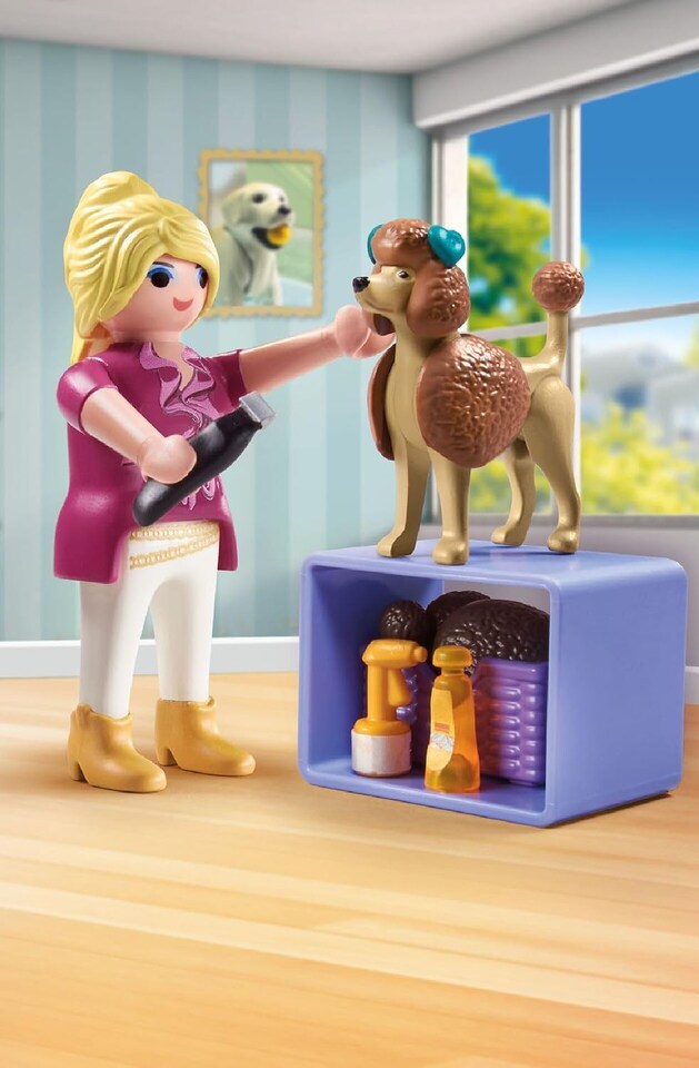 image 1 of Dog Groomer