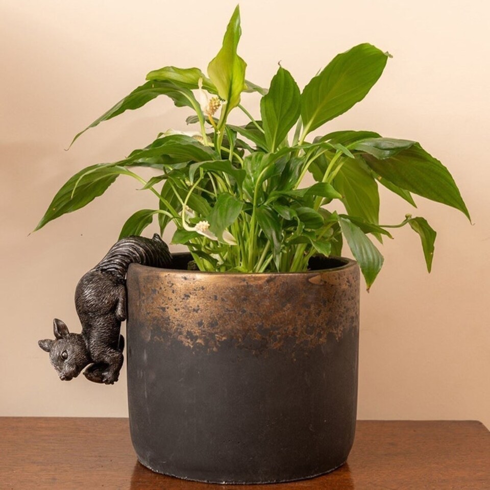 image 1 of Red Squirrel Plant Pot Hanger - L13 x W4.5 x H7 cm