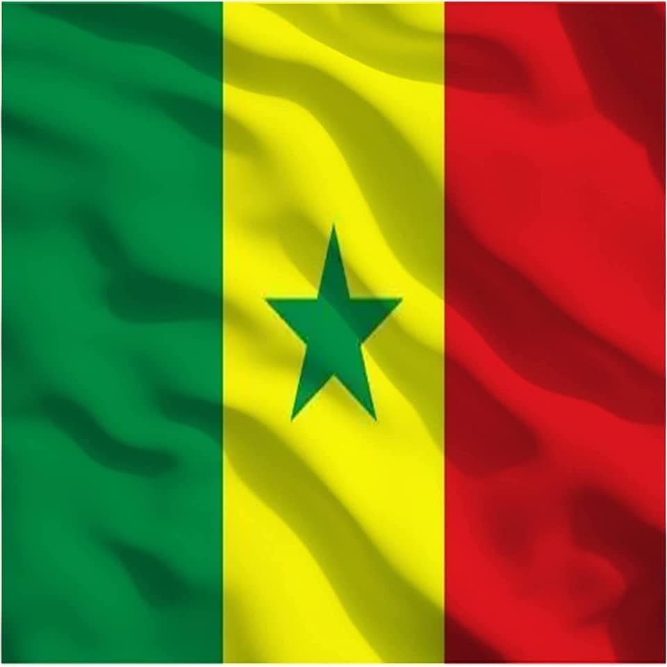 image 1 of Senegal Flag 5x3ft With Eyelets Multi