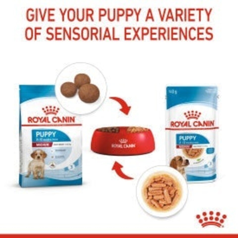 image 1 of Royal Canin Medium Dry Puppy Food 3kg