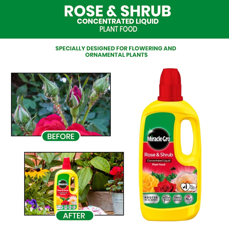 image 1 of Miracle-Gro Rose and Shrub Liquid Plant Food 800ml Fast Acting Feed for Strong Growth Flowering Green Leaves 2 Week Boost