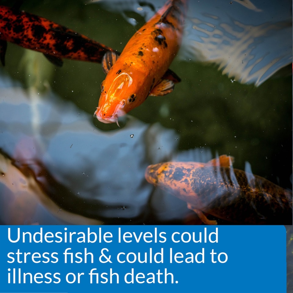 image 1 of API Pond 5 in 1 Test Strips (25 Pack) Tests pH, Nitrite, Nitrate, KH & GH Pond Water Quality Test Kit