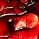 image 7 of Pintura Fake Blood Red