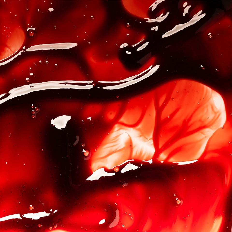 image 1 of Pintura Fake Blood Red