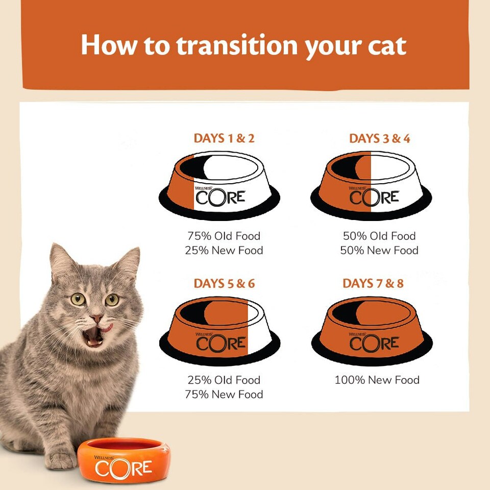 image 1 of Wellness CORE Cat Wet Adult Tender Cuts Turkey Selection Multipack 6 x 85g