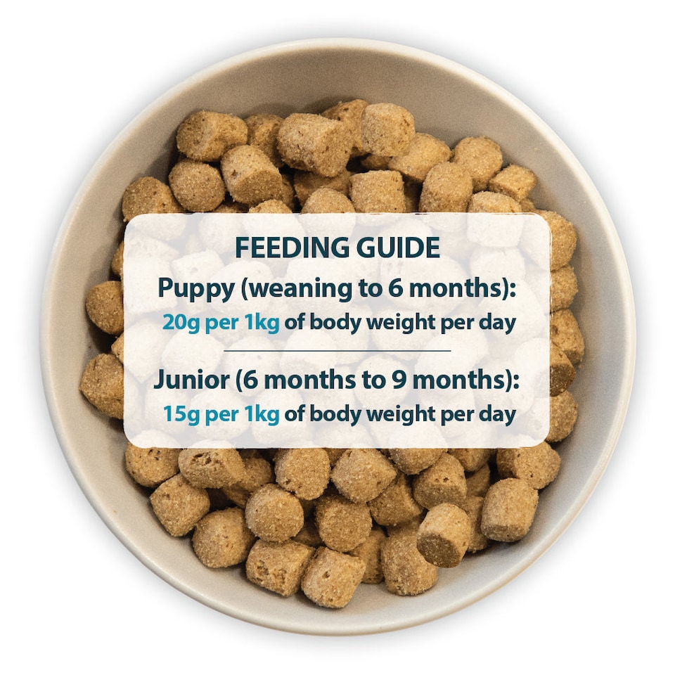 image 1 of Burns Puppy Chicken & Rice Hypoallergenic Dry Dog Food - 2 x 12 kg (24 kg) | Multi | 2 x 12kg | 2