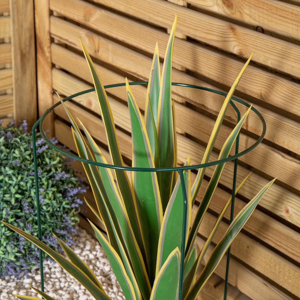 image 1 of Pack of 3 Tom Chambers Urban Metal Herbaceous Garden Plant Support Ring Medium 30cm x 50cm