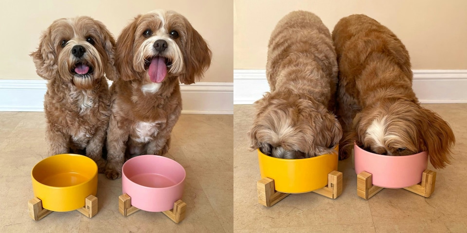 image 1 of Ceramic Bowl with Bamboo Stand for Dogs & Cats - White