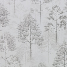 Woodland Whisper Wallpaper in Warm Grey | Grey | Grey