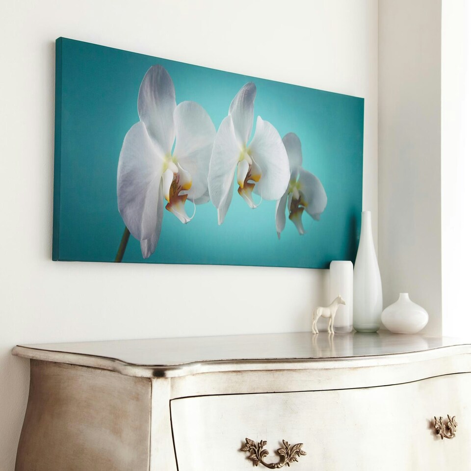 image 1 of Art for the Home Teal Orchid Floral Printed Canvas | Blue