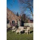 image 5 of Multi Set, Wooden Garden Table and Chairs - L100 x W370 x H105 cm - Fully Assembled