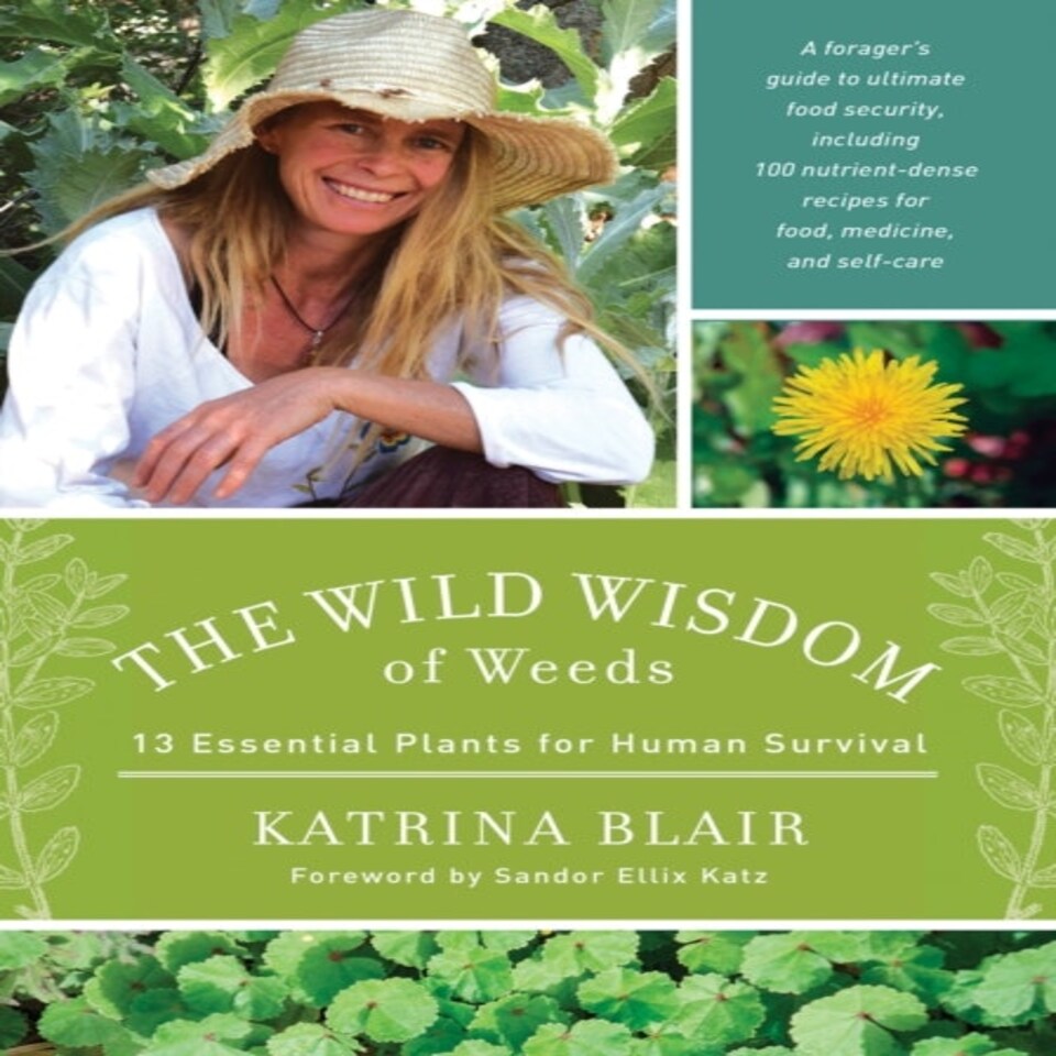 The Wild Wisdom Of Weeds