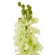 image 2 of Hill Interiors Elatum Delphinium Artificial Flower - White - One Size