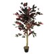 image 1 of 120cm (4ft) Artificial Dark Red Green Ficus Plant - Extra Large | Red | 4ft