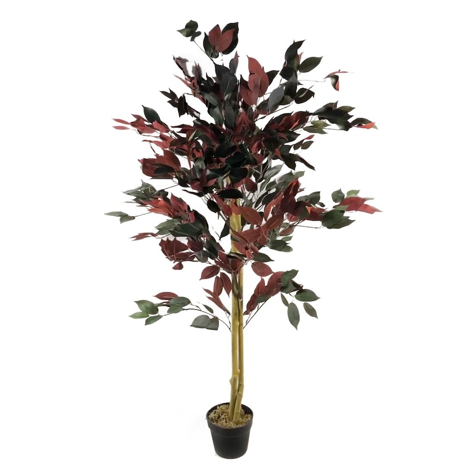image 1 of 120cm (4ft) Artificial Dark Red Green Ficus Plant - Extra Large | Red | 4ft
