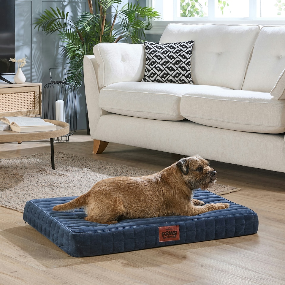 image 1 of Paws for Slumber Orthopedic Pet Bed, Small