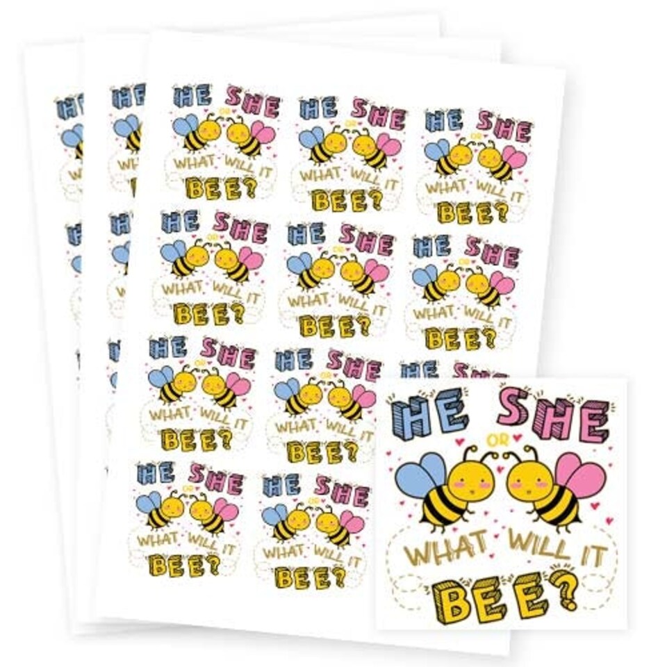 image 1 of What Will it Bee Gender Reveal Square Stickers 65mm - Sheet of 12
