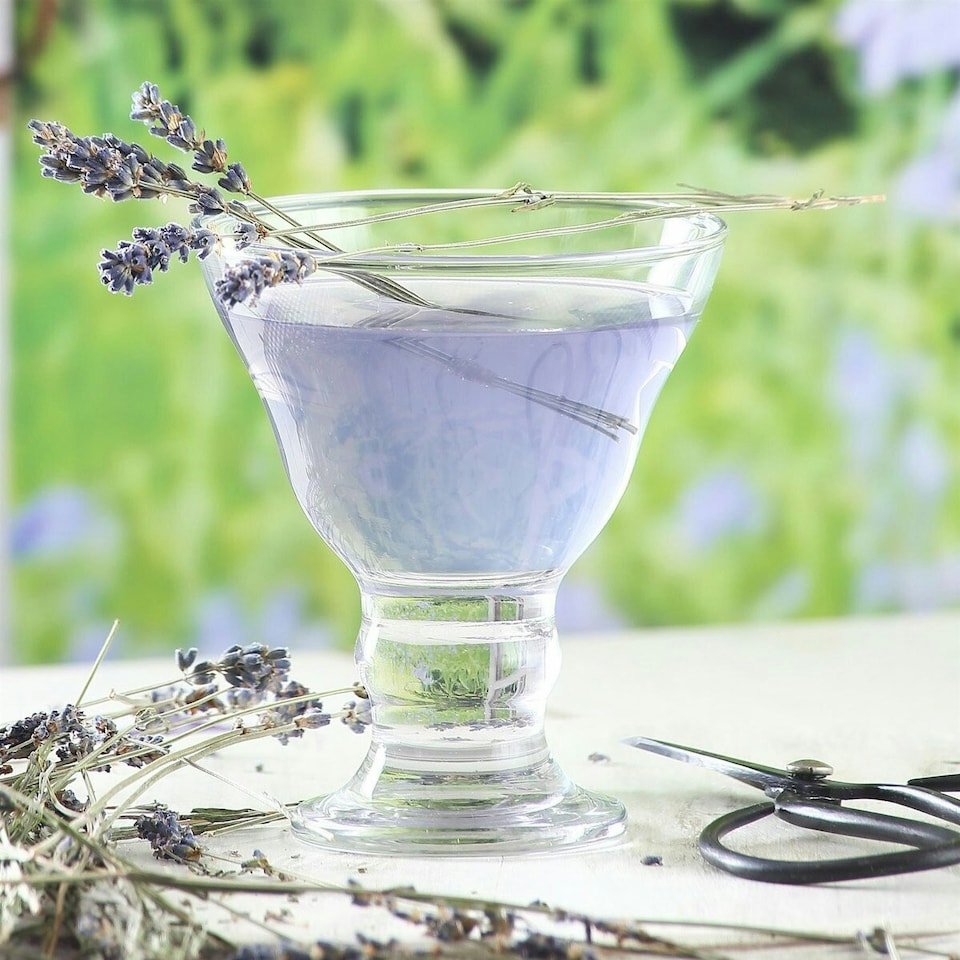 image 1 of LAV Orion Glass Ice Cream Bowls - 255ml - Pack of 6 Clear