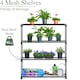 image 3 of 4 Tier Greenhouse Staging