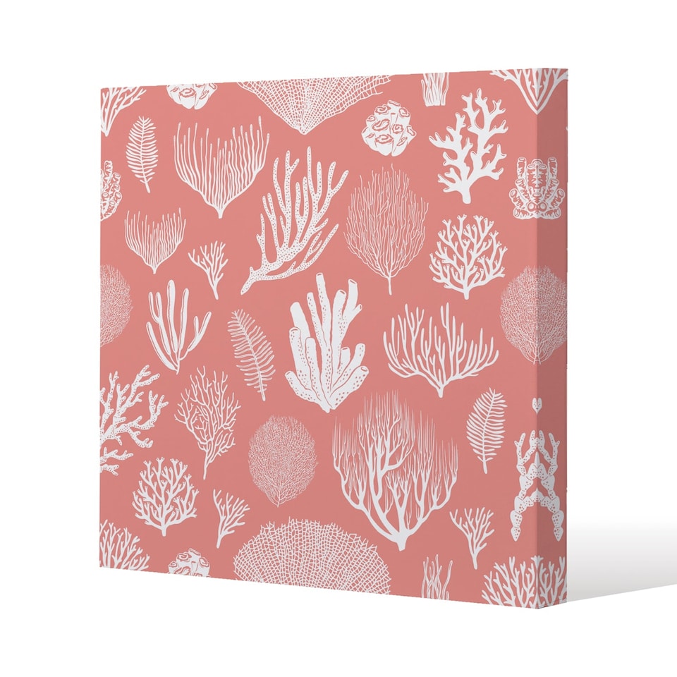 Corals and algae (Canvas Print) / 61 x 61 x 4cm | Multi