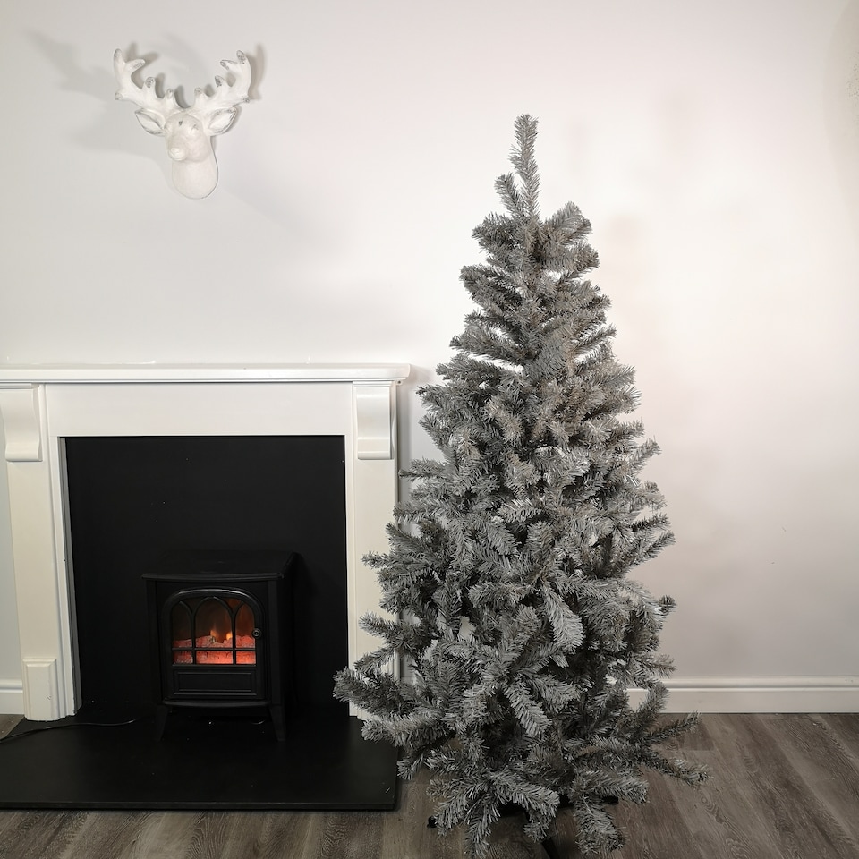 image 1 of 6ft (180cm) Colorado Grey Spruce Christmas Tree with Wrapped Branches & 483 Tips