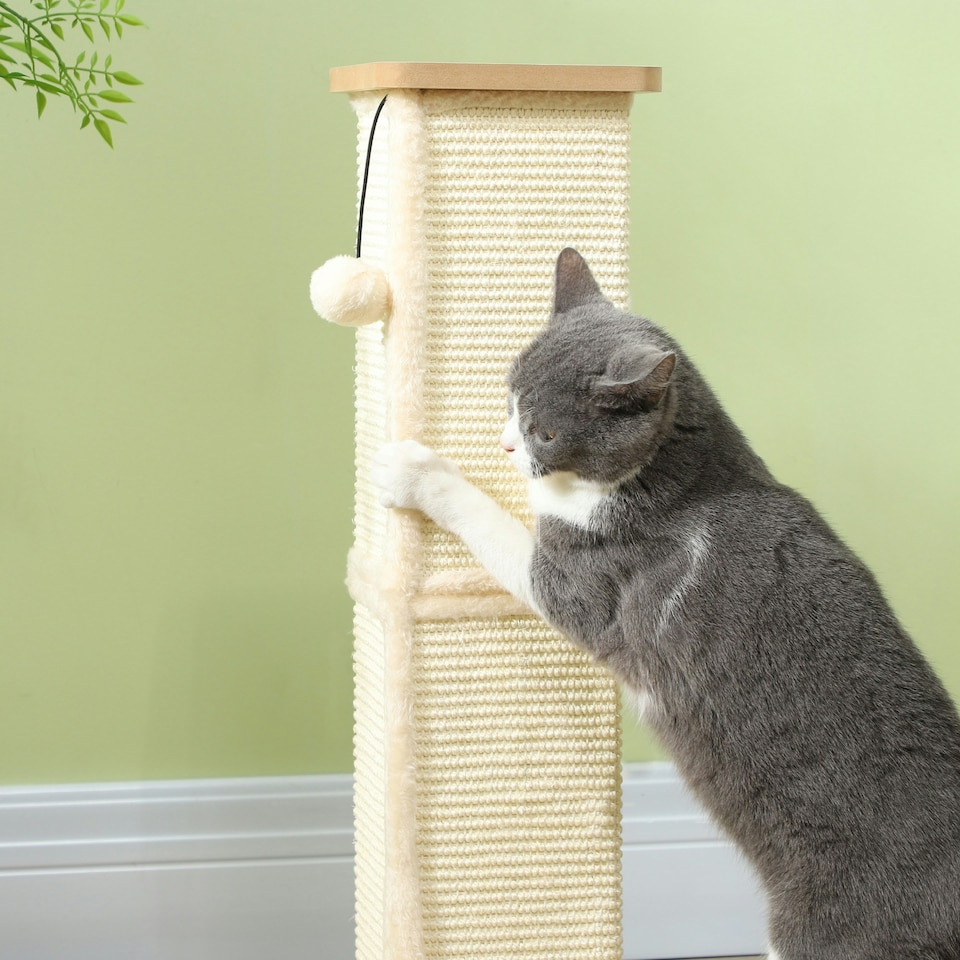 image 1 of PawHut 3-in-1 Cat Scratcher Post with Sisal Track Ball Toy, 67cm, Light Oak
