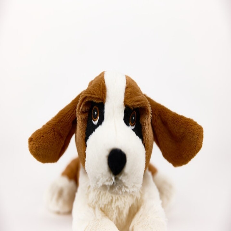 image 1 of Warmies Plush St Bernards Microwavable LARGE