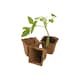 image 2 of Garland Fibre Pots Square 6cm Biodegradable 80 Piece Value Pack | Brown