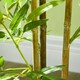 image 9 of HOMCOM Decorative Artificial Plants Bamboo in Pot Fake Plants for Home Indoor Decor,120 cm