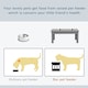 image 3 of PawHut Raised Dog Bowls Pet Feeder Raised Elevated Stainless Steel Food Grey