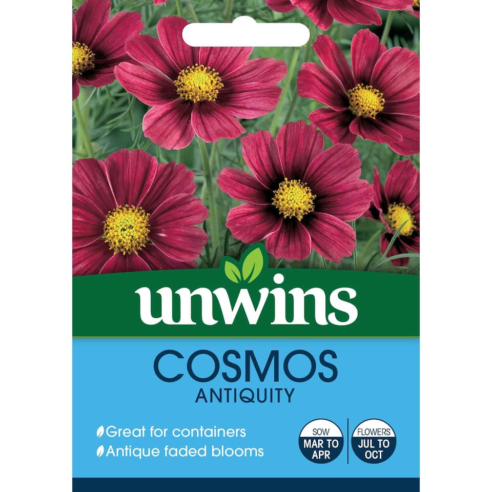 image 1 of Unwins Cosmos Seeds 'Antiquity' - Two-Tone Pink and Red Flower 30 Seeds