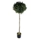 image 1 of 140cm Buxus Ball Artificial Tree UV Resistant Outdoor Topiary | Green | 4ft