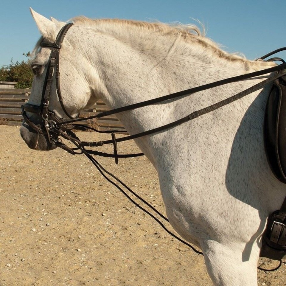 image 1 of Rhinegold Leather And Rope Draw Reins Black | Size: One Size
Colour: Black
