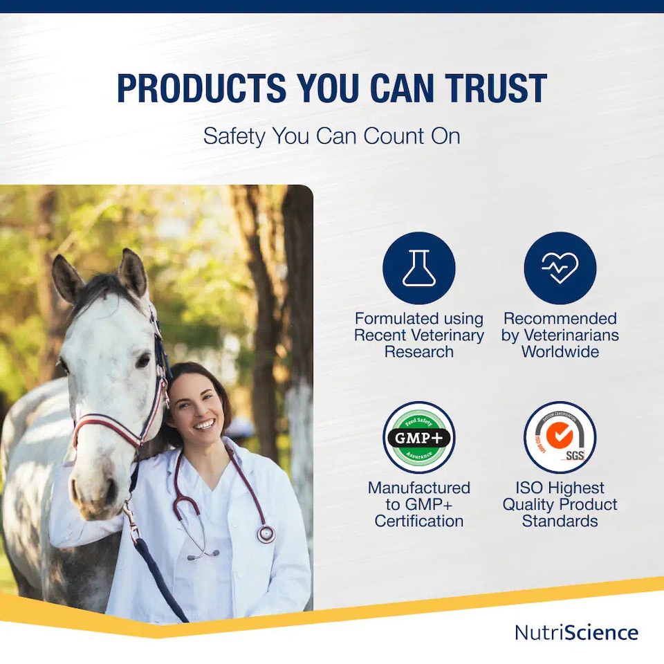 image 1 of NutriScience Horse Gut Gold Supplement Digestive Aid Probiotic Powder Ulcer Support Performance 1.2kg