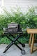 image 2 of Ninja Woodfire Electric BBQ Grill Stand XSKGRLLSTDEUK Black