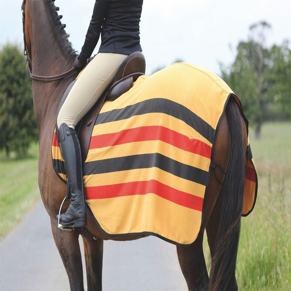image 1 of Shires Wessex Fleece Exercise Sheet Multi | Size: 51 Inch
Colour: Newmarket