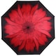 image 1 of Everyday Folding Umbrella Automatic Opening Reverse Daisy Multi