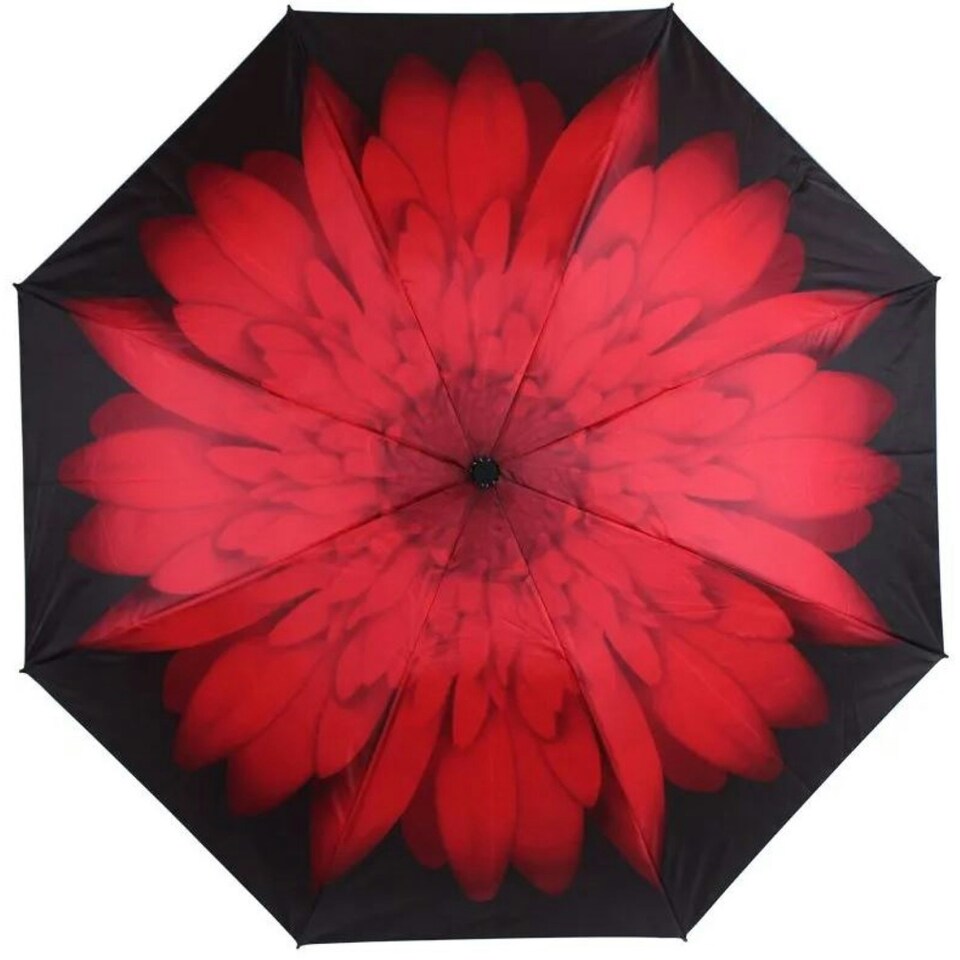 image 1 of Everyday Folding Umbrella Automatic Opening Reverse Daisy Multi