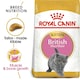 image 1 of Royal Canin Cat British Shorthair Kitten 10KG