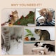 image 5 of PawHut Wall Mounted Cat Tree 4PC Kitten Activity Centre with Sisal, Grey