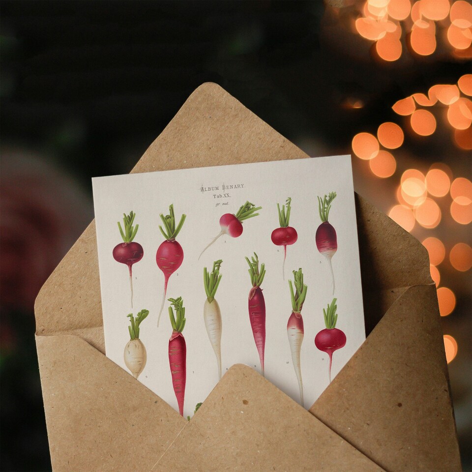 image 1 of Ernst Benary Art Card Radish Root Varieties Vintage Botanical