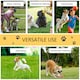 image 5 of PawHut Pet Agility Set Training Dogs Outdoor Outward Play Adjustable Pole