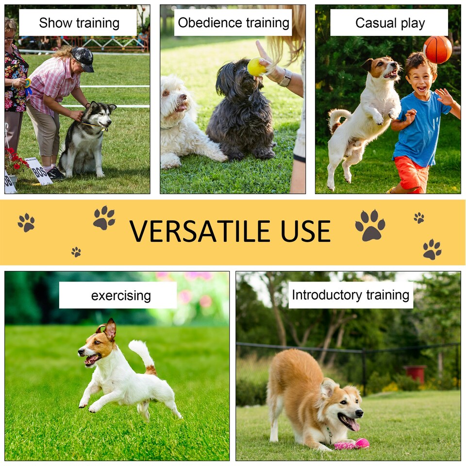 image 1 of PawHut Pet Agility Set Training Dogs Outdoor Outward Play Adjustable Pole