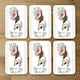 image 4 of portrait of french bulldog puppy (Coaster)