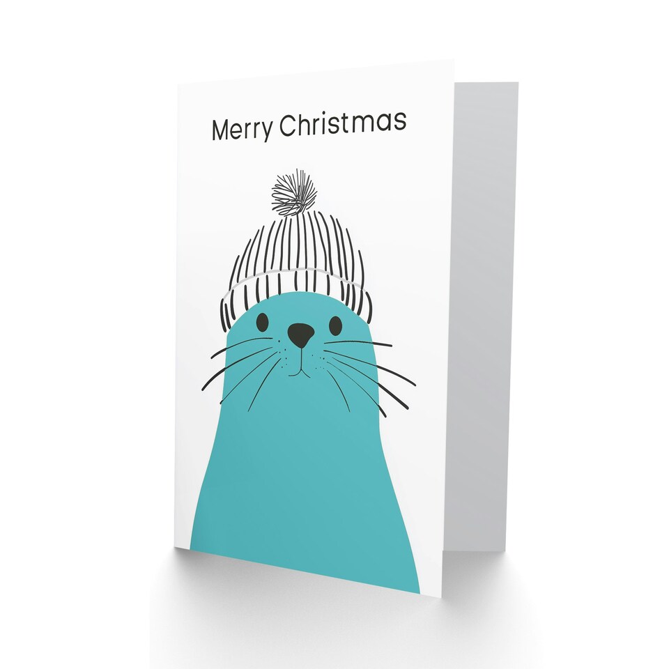 image 1 of Cute Blue Seal With Winter Hat Bright Modern Blank For Him Or Her Art Christmas Card