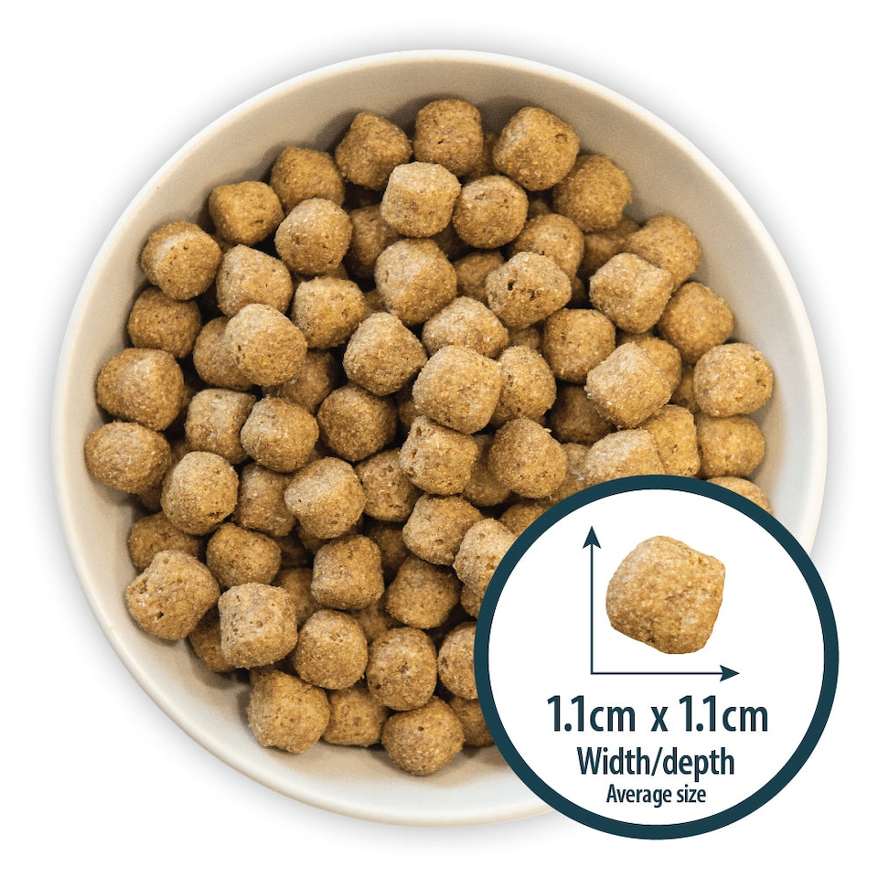 image 1 of Burns Original Fish & Brown Rice Hypoallergenic Adult & Senior Dry Dog Food - 6 kg | Multi | 6kg | 1