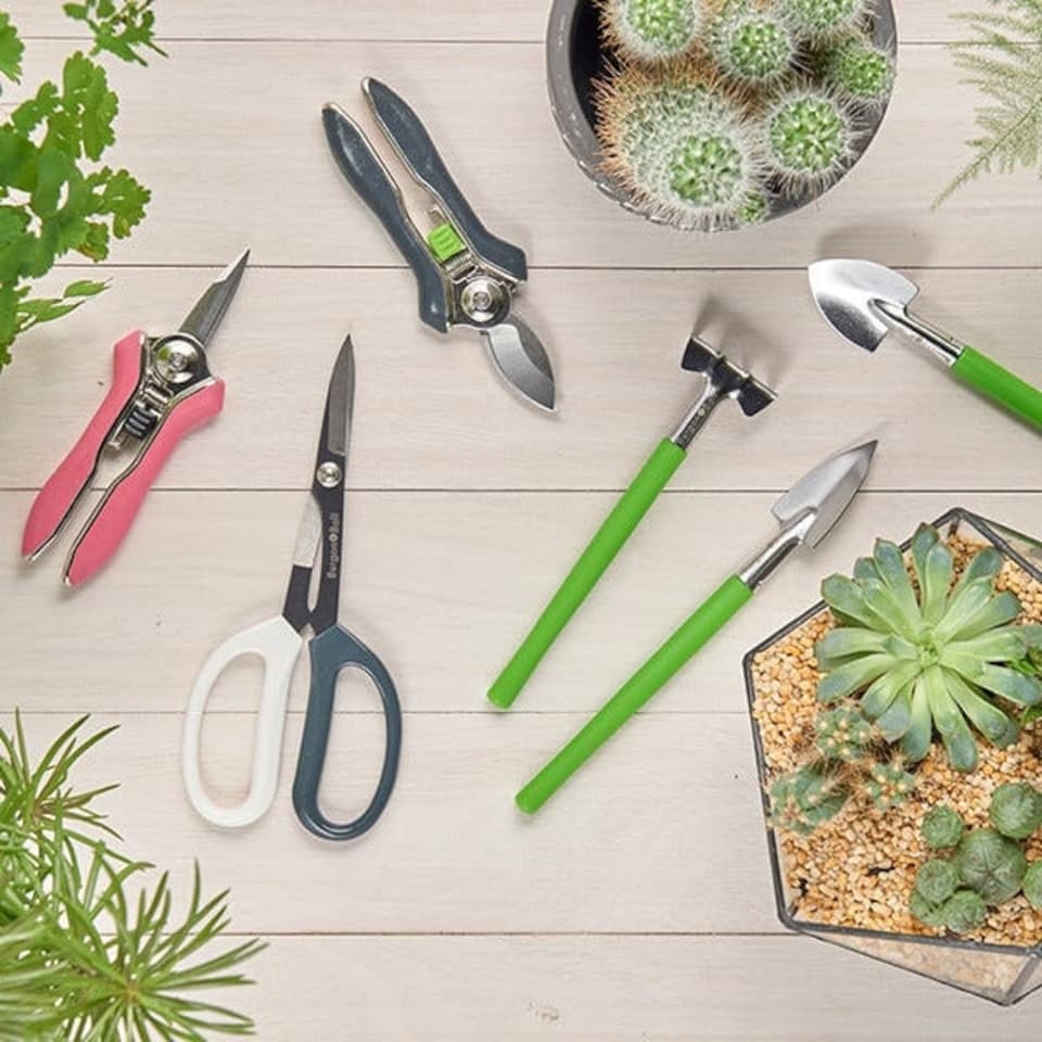 image 1 of Burgon & Ball Houseplant and Terrarium Tool Set